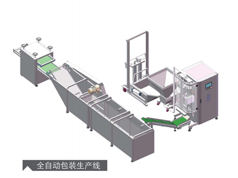 全自動包裝生產(chǎn)線